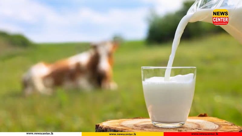 Sri Lanka produces only 43% of daily milk requirement locally: Dy Minister