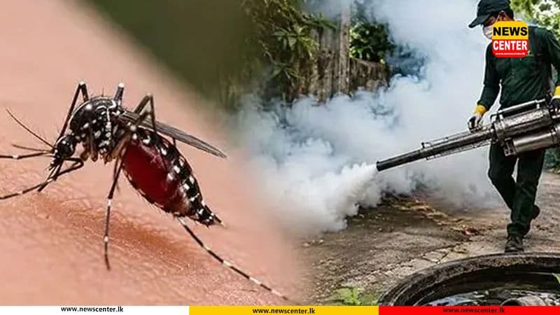 Special three-day dengue control programme launched in 6 high-risk provinces