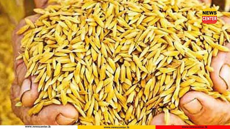 Govt. announces guaranteed prices for paddy for ‘Yala’ season