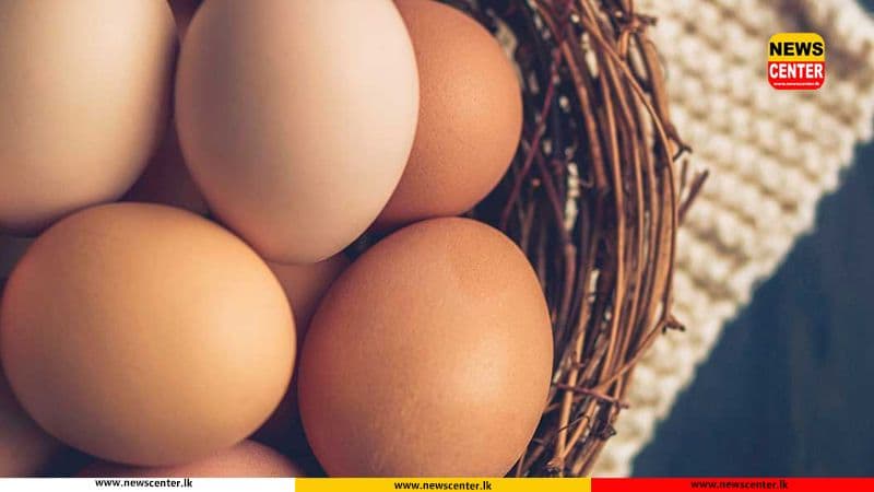 Egg prices to increase from tomorrow
