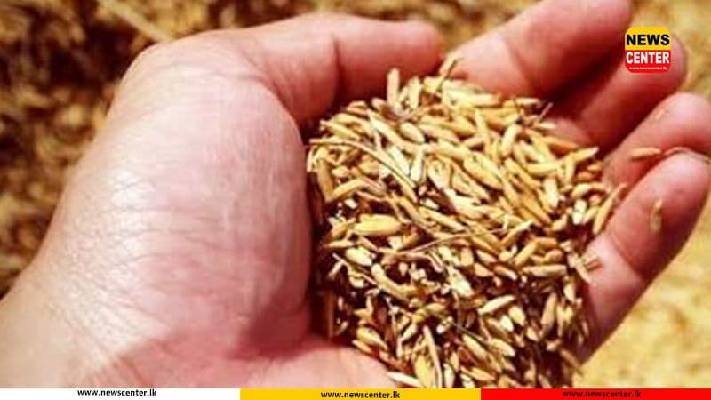 305 metric tons of paddy purchased since Yala procurement drive began: PMB